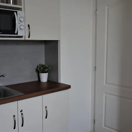 Bed & Breakfast Hostel Brno ホステル *