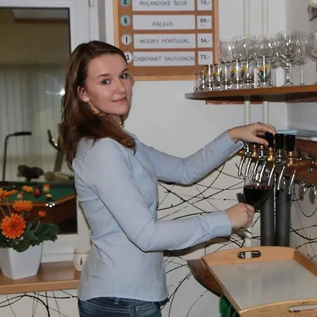 ホステル Bed & Breakfast Hostel Brno *